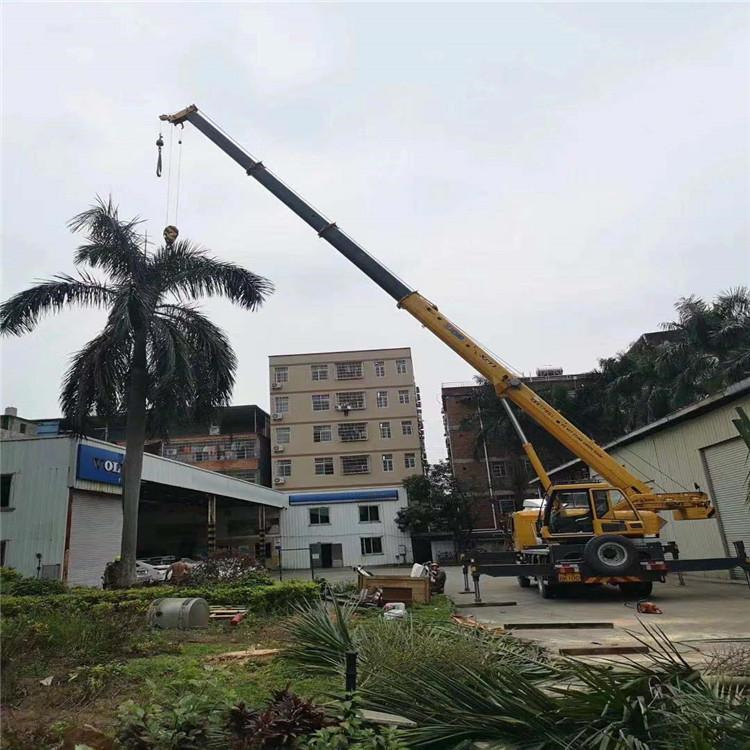 绍兴上虞汽车吊出租多少钱？全面解析与市场行情